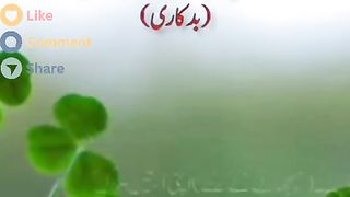 Surah e Noor Recite with urdu english translate for the first time (this is what happened)