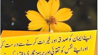 Hazrat Ali Says