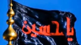 status 29