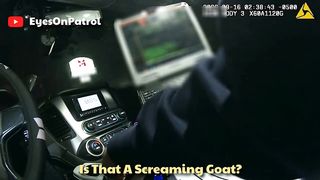Funny | Cracking the Code of Hilarious Subtitle Fails | FunFM