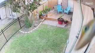 Funny | Fun Fact: Geico's New Surveillance Comedy | FunFM