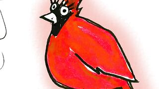Funny | Feathered Funnies: Silly Bird Cartoons by the Chuckle Artist | FunFM