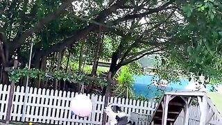 Good dog 6