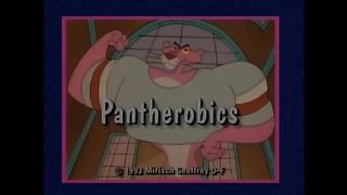 Pink Panther cartoons 62