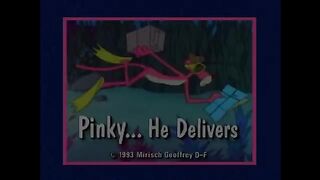 Pink Panther cartoons 65