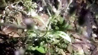 Animal lovers