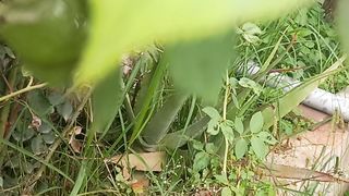 Flower 18