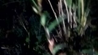 Animal  lovers 14