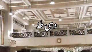 Naat vo mara nabi ha