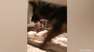 video funny animal part 22