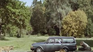 I can't stop watching this