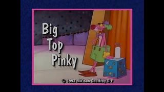 Pink Panther cartoons 105