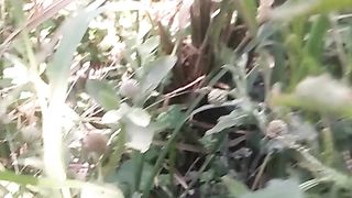 Animal lovers