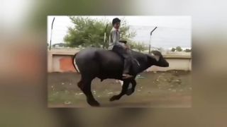 funny things happen only in Pakistan