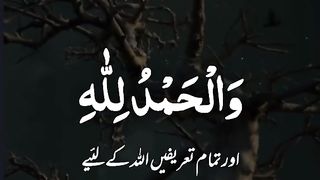 Boht zabardast????