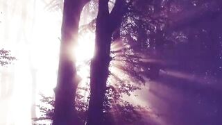 Beautiful Nature | Beautiful View | Nature | Forest. 12 minutes of relaxing nature video with relaxing music 2