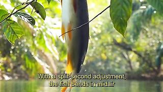 Life of sea species