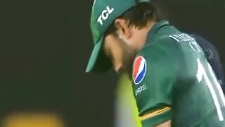 Cricket 60