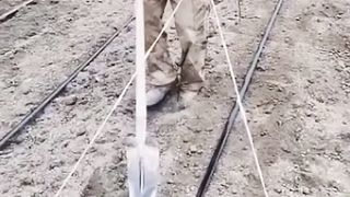 Creative Farmer