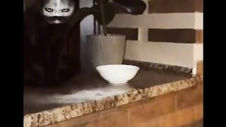Si oyen jadi dukun viral#fyp