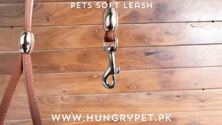 Cat & Puppy Comfort Leash: Purrfect for Cats and Puppies