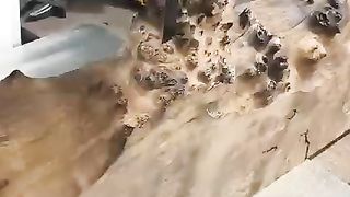Wood turning
