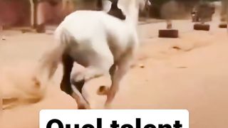Incroyable talent 2