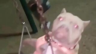 Ночные покатушки