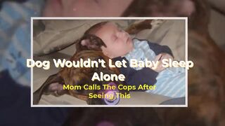 Dog Wouldn't Let Baby Sleep Alone Mom Calls The Cops After Seeing This