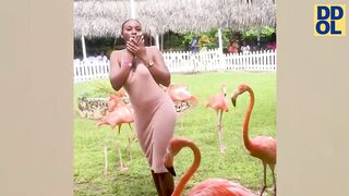 TRY NOT TO LAUGH WATCHING FUNNY VIDEOS - 16