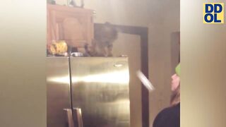 TRY NOT TO LAUGH WATCHING FUNNY VIDEOS - 18