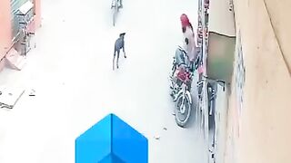 CHECK OUT WHAT THIS DOG DID.