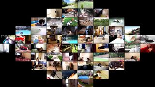 Funny Animal Fights Compilation - Animals Vs Animals - Funny Animal Videos