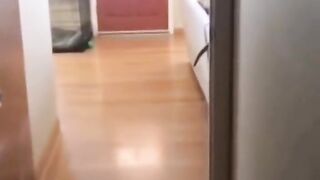 Funny meme completion ???????? #1