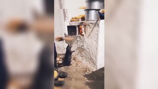 Tiktok Compilation part8
