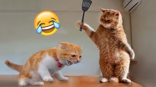 Funny animals videos 2022????-Funniest videos for cats and dogs