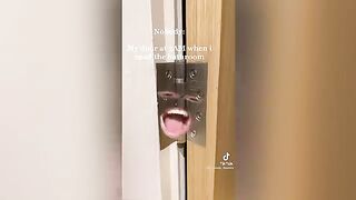 Relatable tiktoks