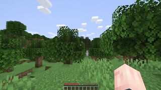 Minecraft: A New Beginning