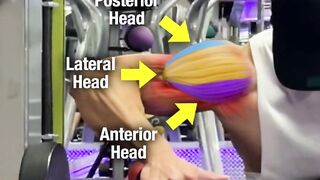 How to Build Wider Shoulders