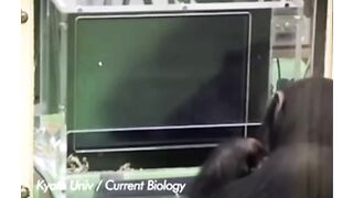 that’s actually insane ???? @comedyposts & @finestmemes  - cc/ Kyoto Univ / Current Biology