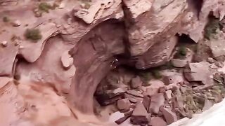videoplayback (1).mp4