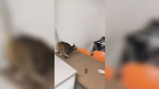 Tiktok Compilation Part10