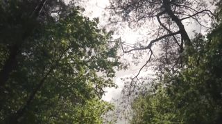 Beautiful Landscapes | Views | Nature | Forest. 7 minutes of relaxing nature video with relaxing music