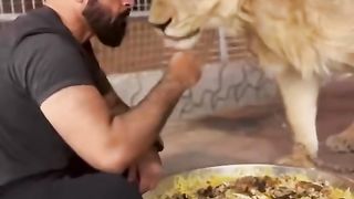 lion and man 2