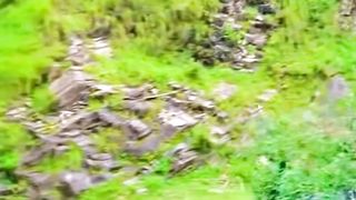 Beautiful Green Street Mansehra Pakistan