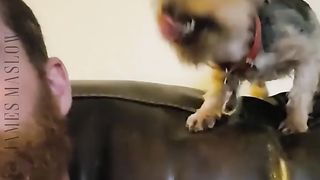 28 Adorably Funny Animals#Animals Funny Moment????