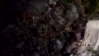 Animal lovers