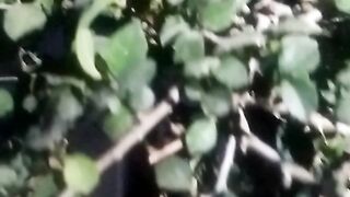 Animal  lovers 17