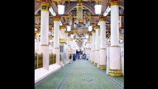 Ma sha Allah 5