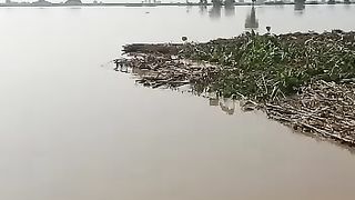 Satluj ki tabahi